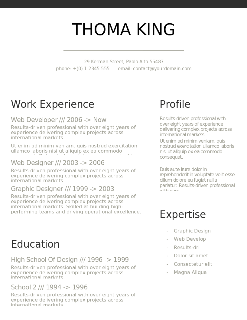 Professional Clean CV preview